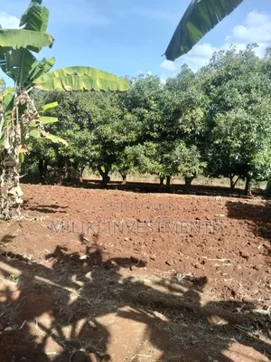 Half an Acre Land on Sale at Makuyu-Ciumbu