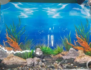 Vibrant 3D Aquarium Background Featuring a Striking Pink Starfish Set