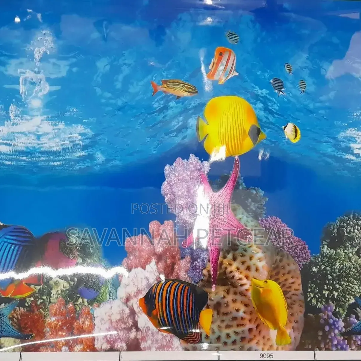 Vibrant 3D Aquarium Background Featuring a Striking Pink Starfish Set