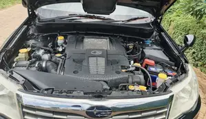 Subaru Forester 2011 Blue