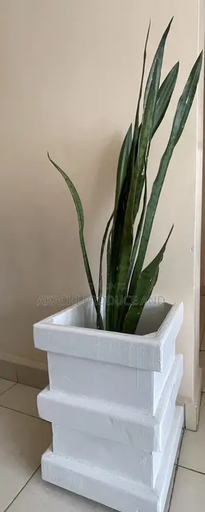 Handcrafted Wooden Planter — Simple. Bold. Distinctive.