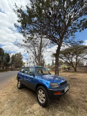 Toyota RAV4 Base 4x4 1999 Blue