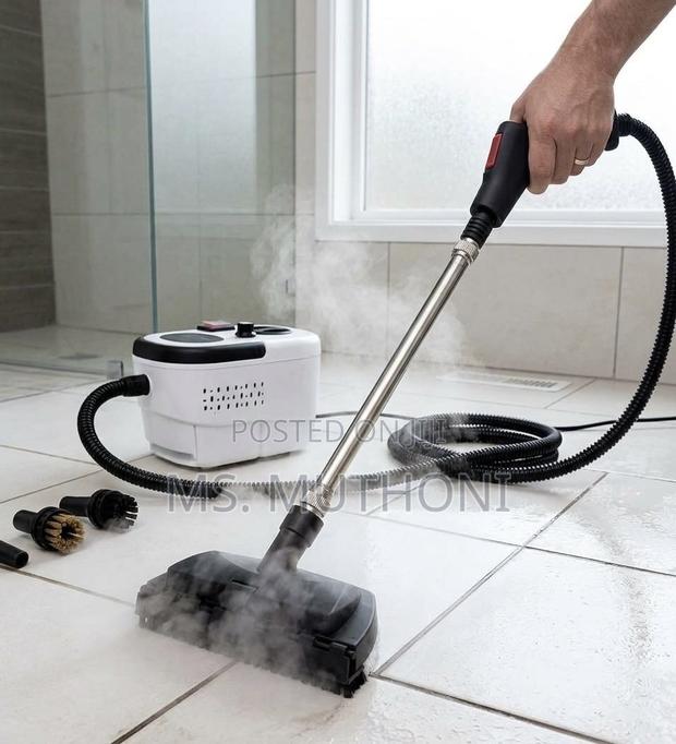 High Temperature Pressurized Steam Cleaner - thumbnail 2