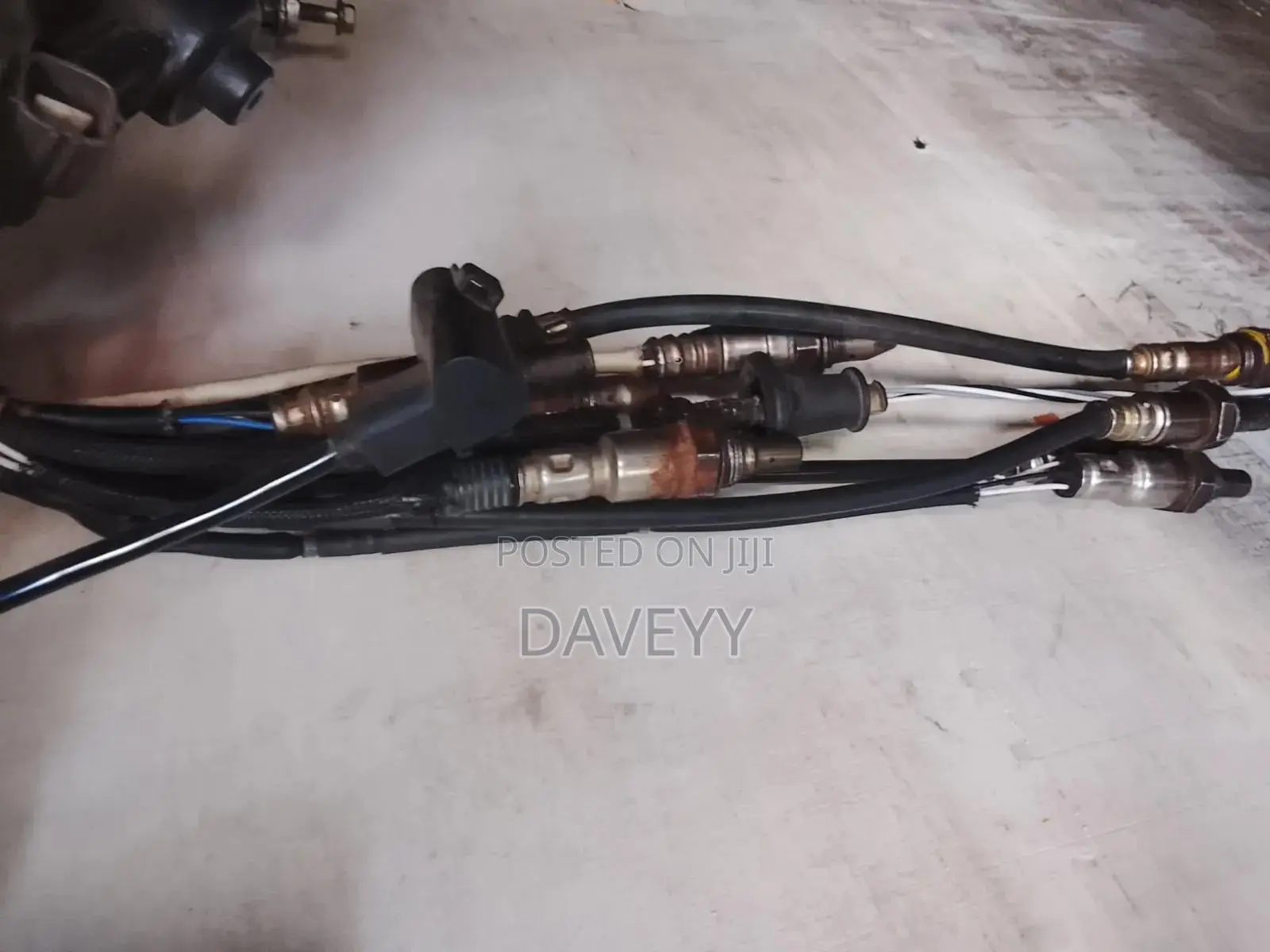 Oxygen Sensor