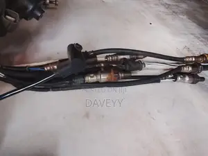 Oxygen Sensor