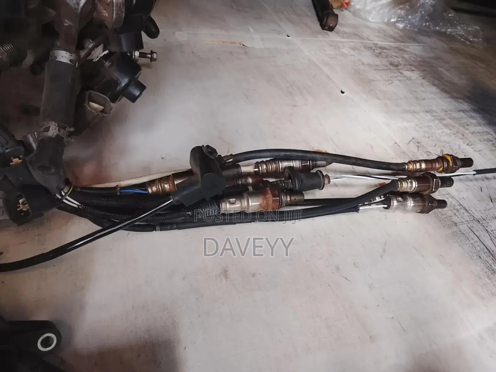 Oxygen Sensor
