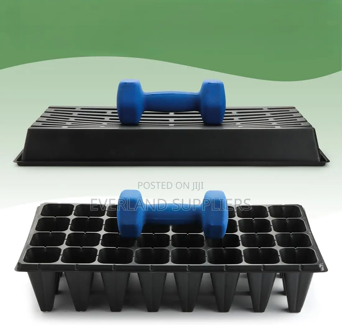 High-Quality Seedling Trays - Wholesale