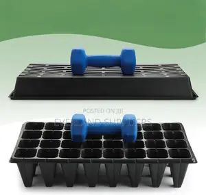 High-Quality Seedling Trays - Wholesale
