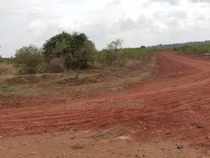 42 Acres Baricho at 100k Per Acre