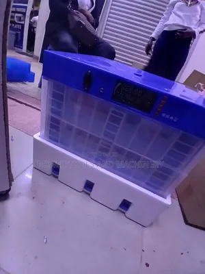 Av/Dc Fully Automatic Egg Incubator 192eggs