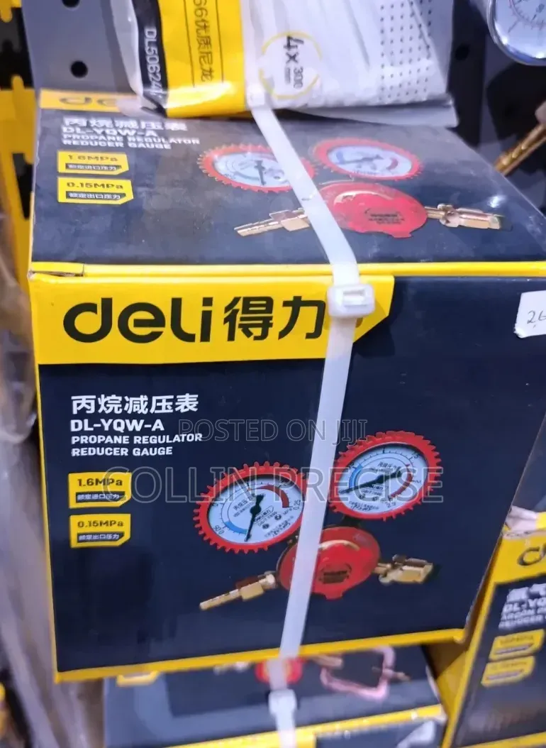 Propane Regulator Reducer Gauge