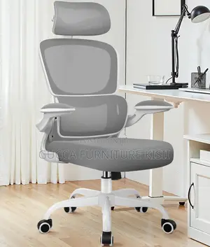Grey Ergonomic Office Chair With Back Support
