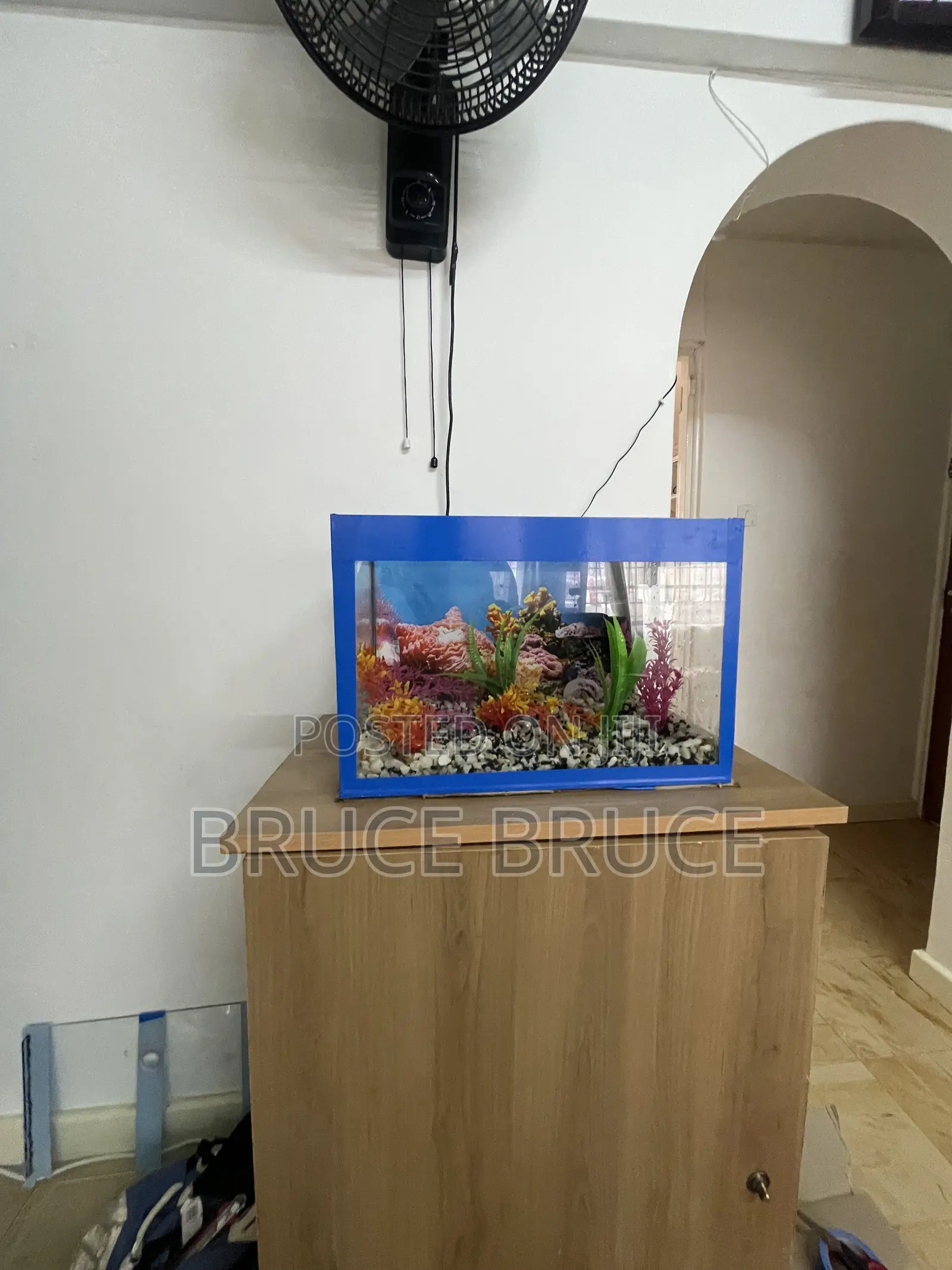 Custom 30 Litres Home Aquarium
