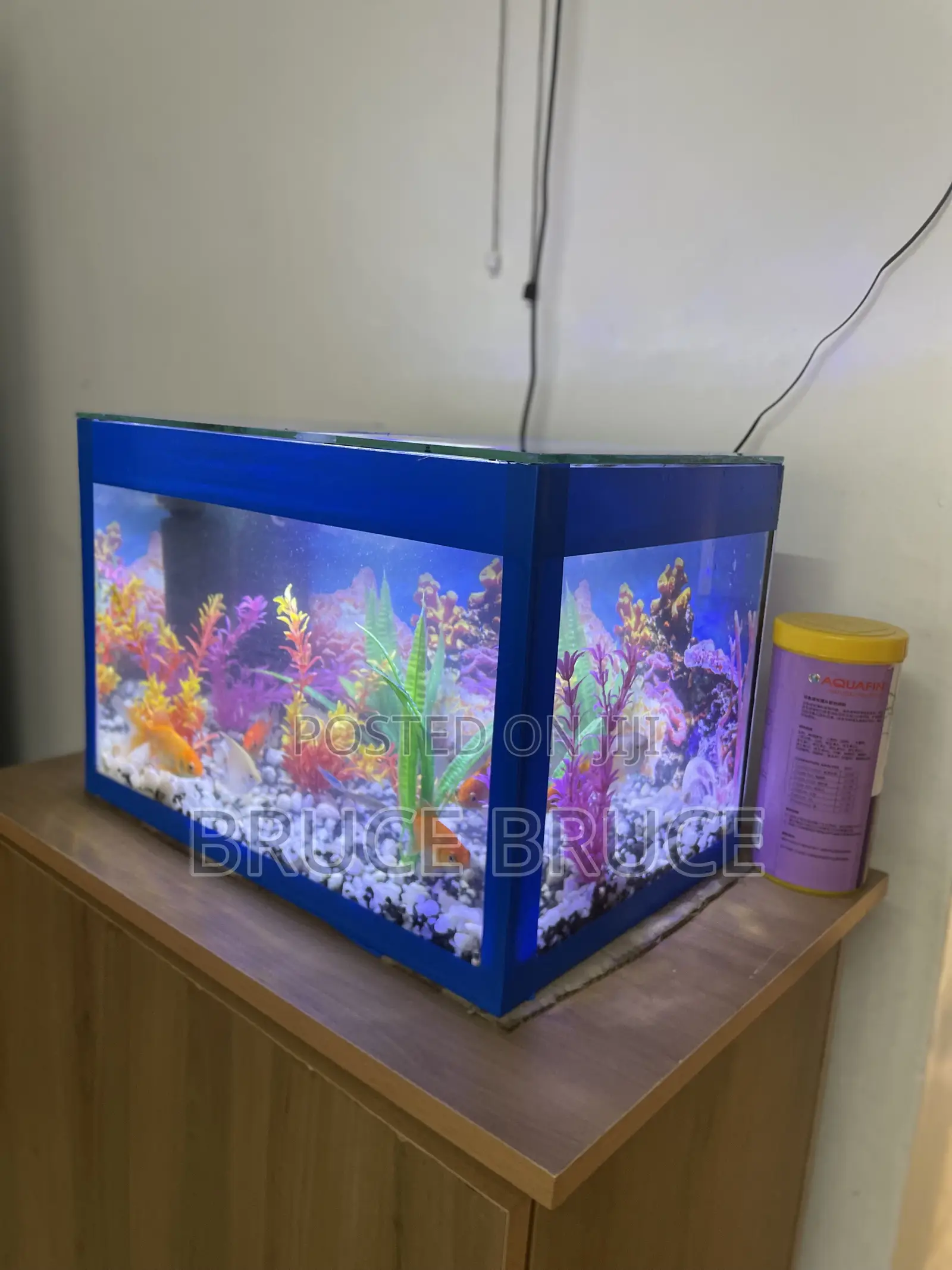 Custom 30 Litres Home Aquarium