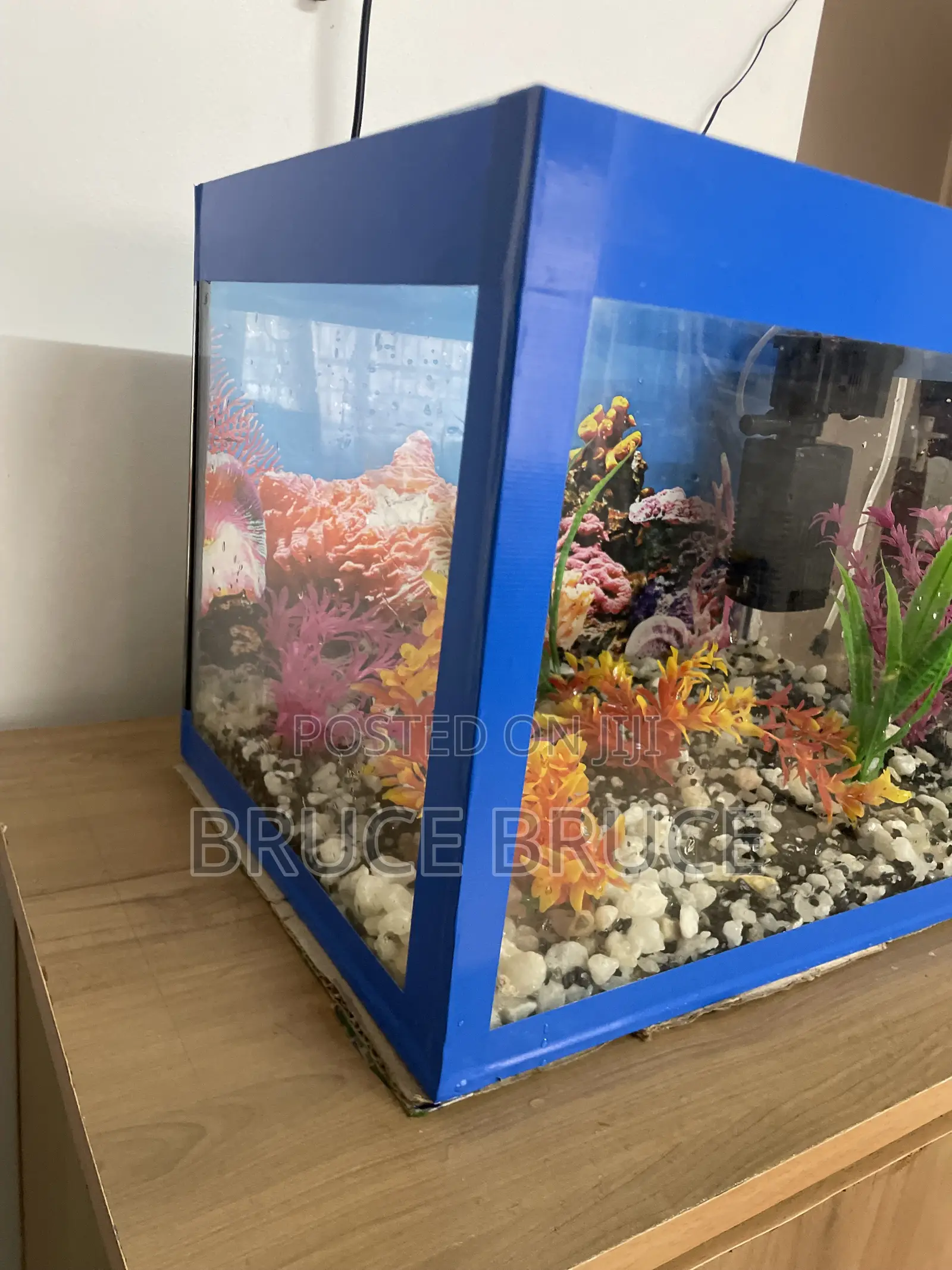 Custom 30 Litres Home Aquarium