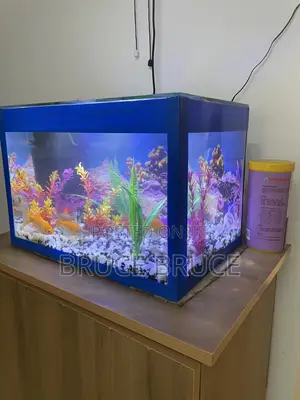Custom 30 Litres Home Aquarium