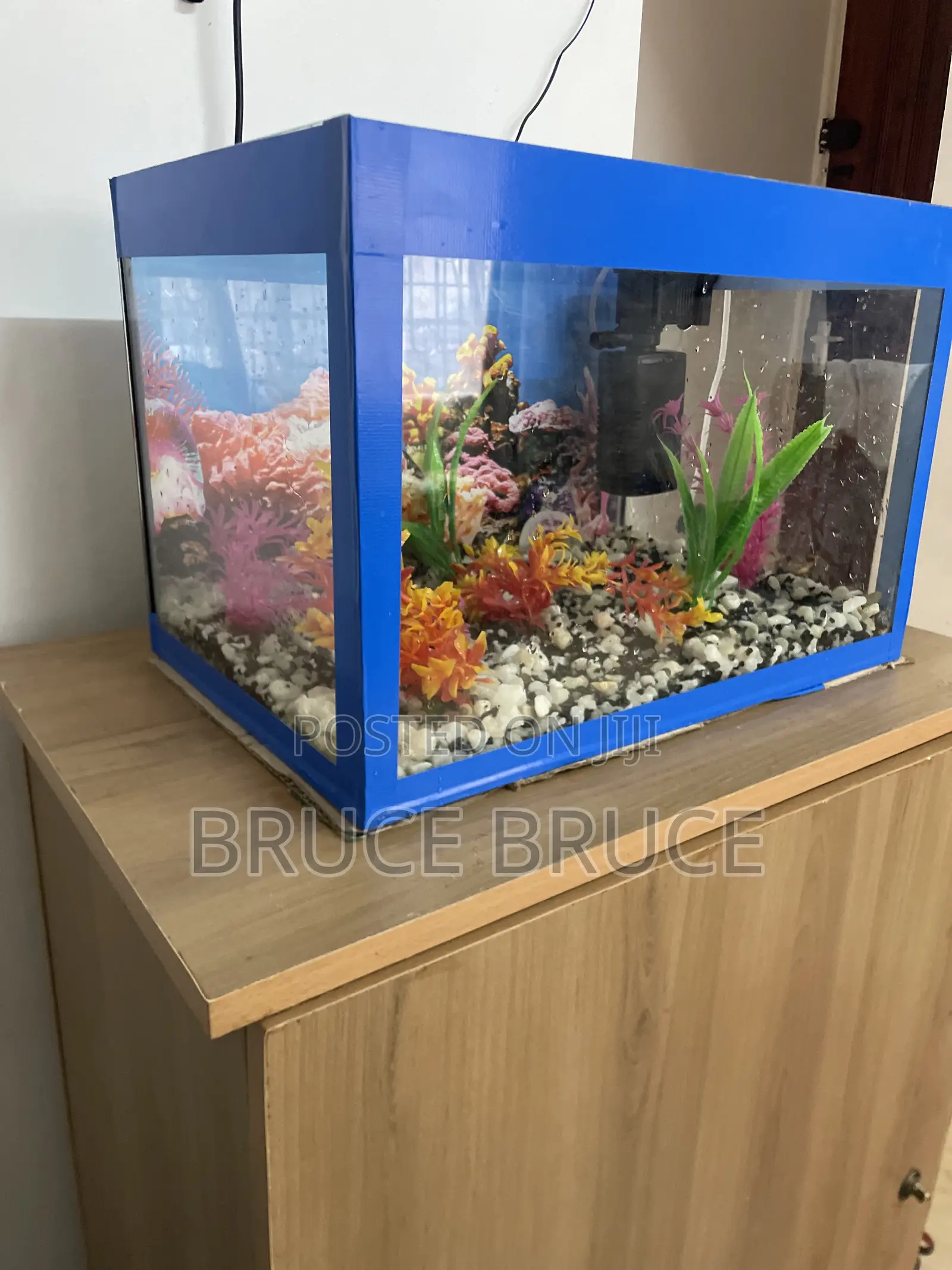 Custom 30 Litres Home Aquarium