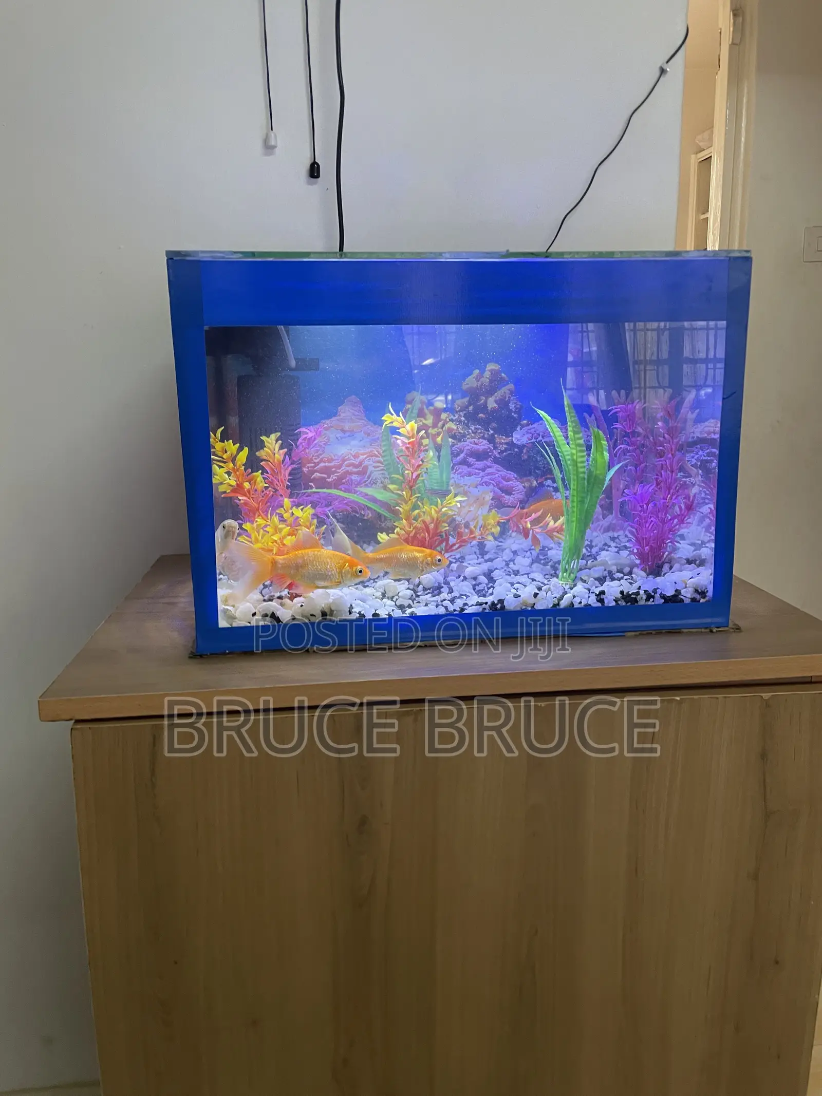 Custom 30 Litres Home Aquarium