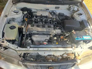Toyota Corolla 1998 White
