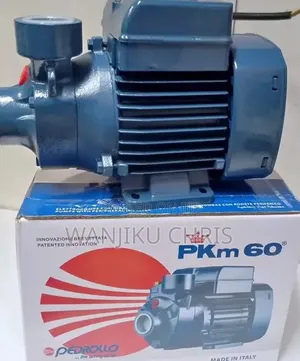 Pedrollo 0.5HP Booster Water Pump