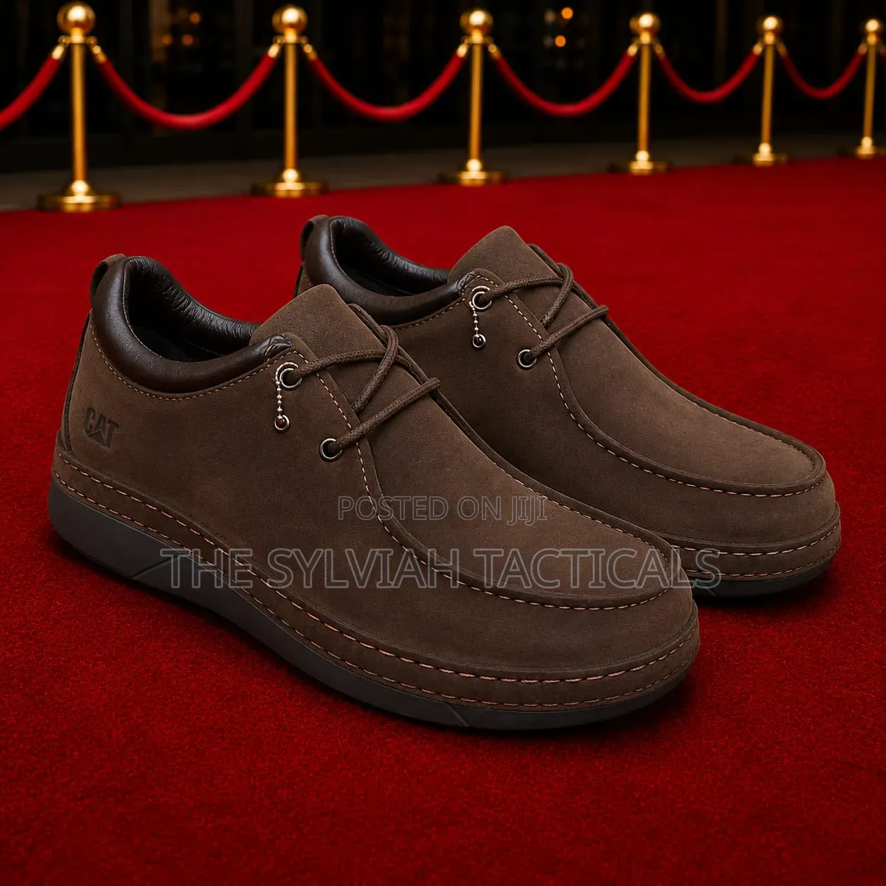 Original Legit Unisex Cat Shoes