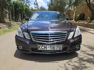 Mercedes-Benz E300 2010 Brown