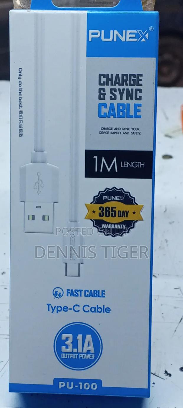 Punex Type C Charging Cable - main view