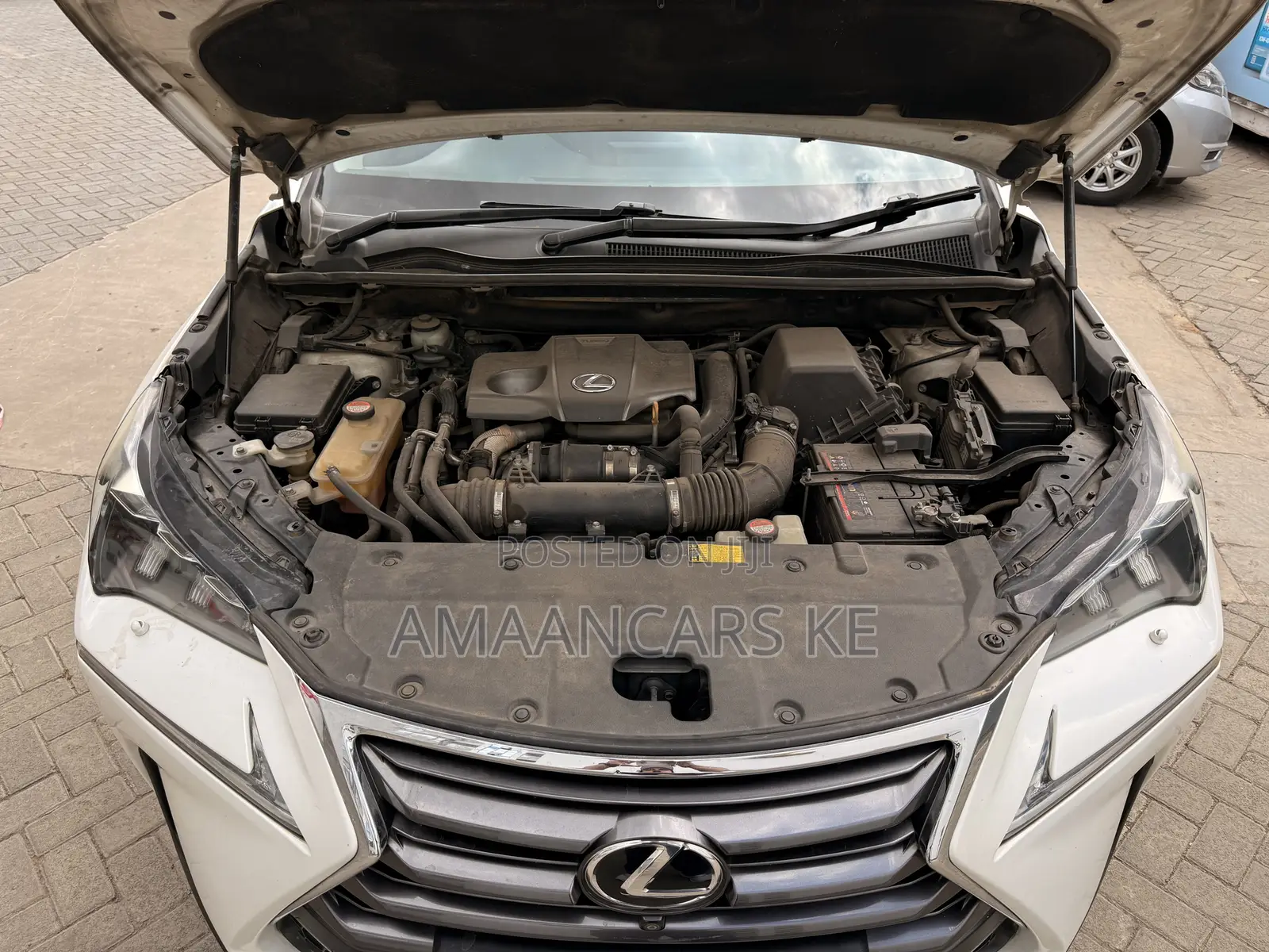 Lexus NX 2016 White