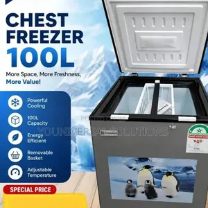 100 Litres Chest Freezer Premier