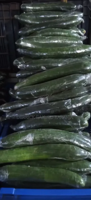 GreenbasketEnterprises