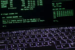 Learn to Code With Ai - In Less Than a Week