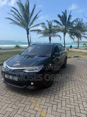 Toyota Axio 2016 Black