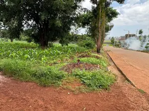 Prime 1/8-Acre Plot for Sale – Kamiti Ridge Estate
