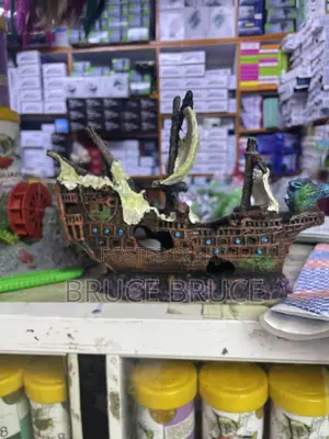 Ornamental Boat for Sale