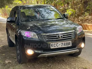 Toyota Vanguard 2008 Gray