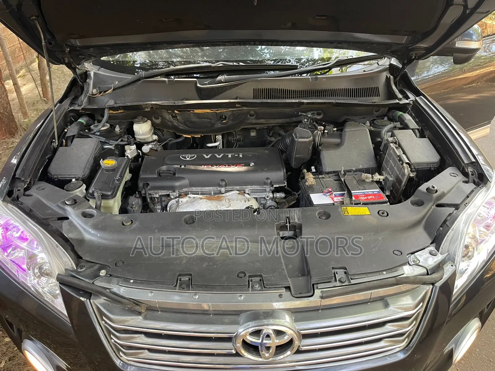 Toyota Vanguard 2008 Gray