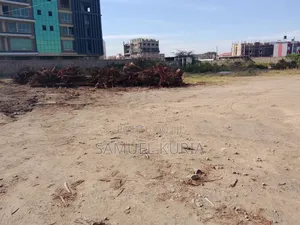 Selling a Plot