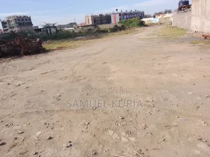 Selling a Plot