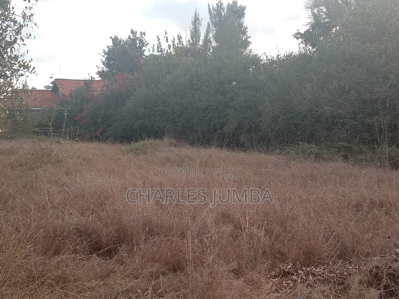 1/4 Plot in Chuna Estate