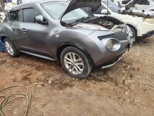 Nissan Juke 2011 Gray