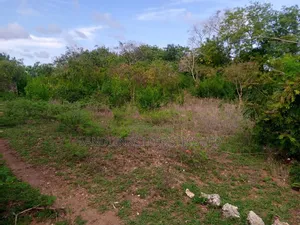 Diani Tiwi Area a Beach Plot 1/2 Acre Near Cottages.
