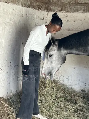 Horse Riding Lessons & Forest Rides in Nairobi