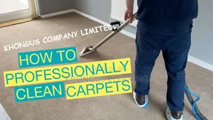 Carpet Cleaning Services