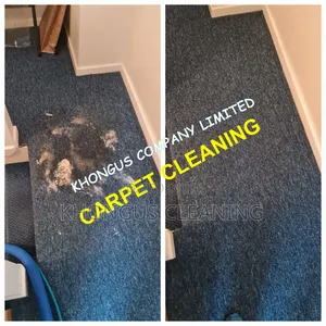 Carpet Cleaning Services