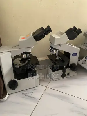 Olympus Microscope