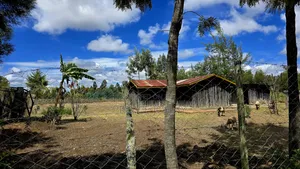 Prime Land & 3 Bedroom Wooden House for Sale