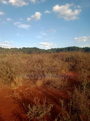 50 Acres on Sale at Makuyu-Murang'A