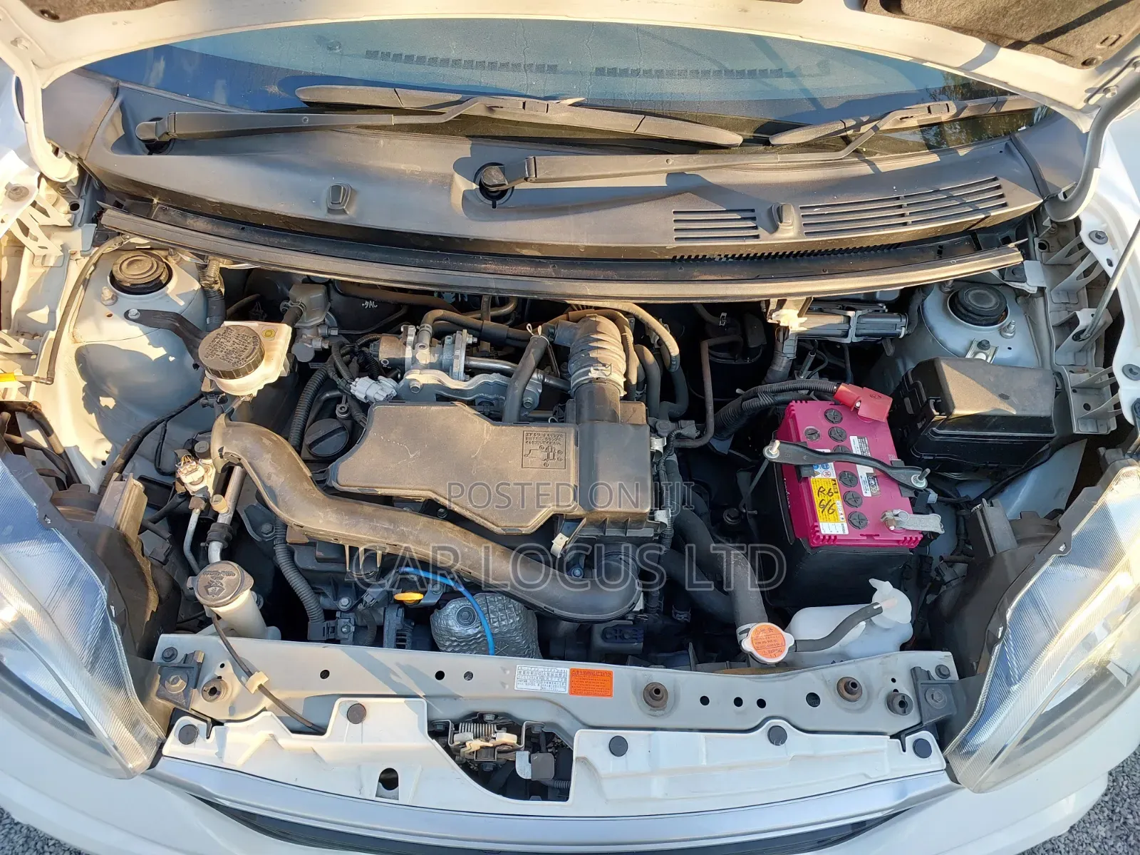 Toyota Passo 2019 White