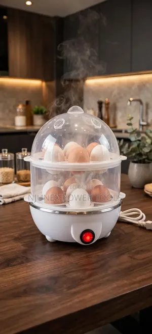 Double-Layer Electric Egg Boiler and Steamer