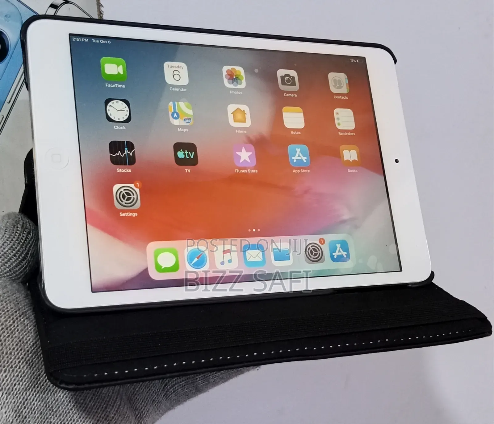 Apple iPad mini Wi-Fi + Cellular 16 GB White